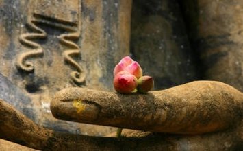Chiếu thân